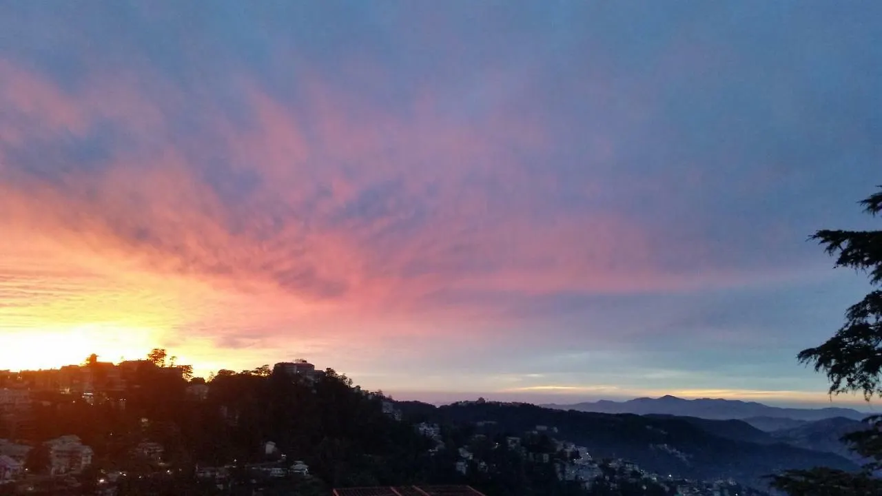 Flyer Exotica Bed & Breakfast Shimla 3*,